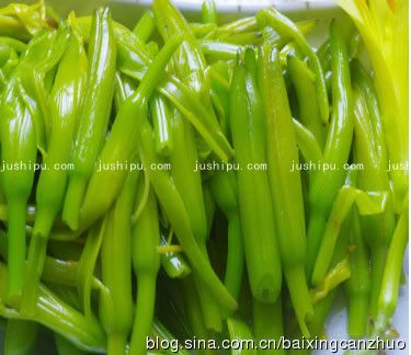 �����S���˵�����