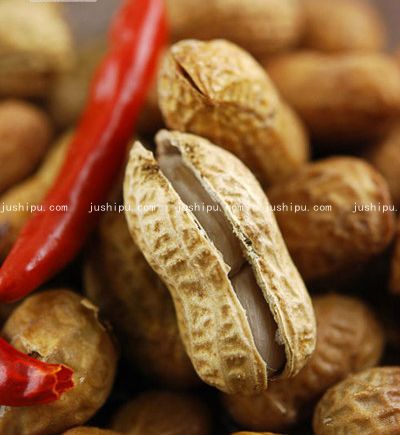 ����ơ�ƻ��������� www.sk010.cn