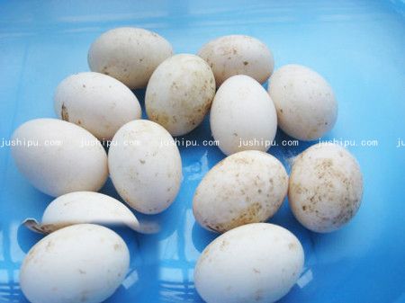 ������������ www.sk010.cn