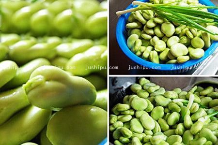 �̲˶����ֵ����� www.sk010.cn