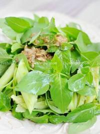 �G����S�ϵ�����