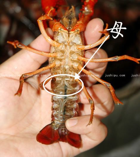 ���r������ www.sk010.cn