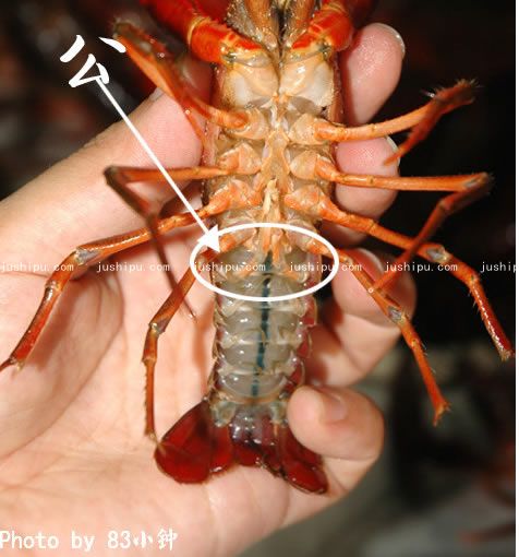 ���r������ www.sk010.cn