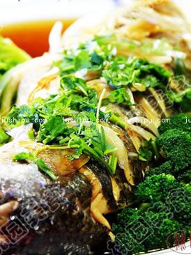 ơ�������~������