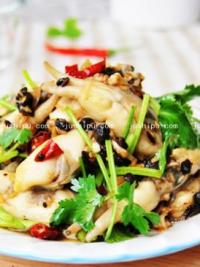 ���ȝ�� �����������|�������