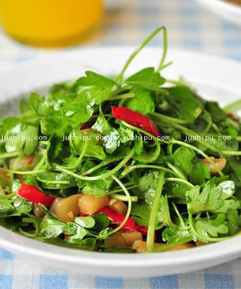 �����۲�������� www.sk010.cn