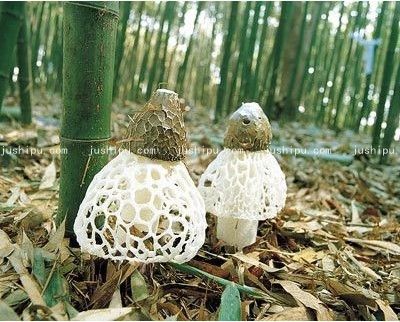 竹蓀雞湯的做法 www.sk010.cn