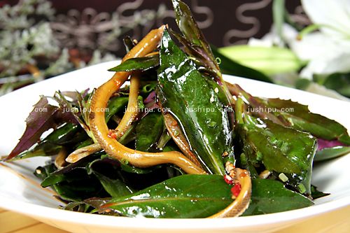 ���X�z������