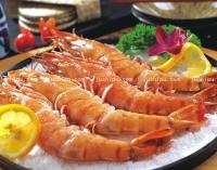 ��֭����(du��)�r������