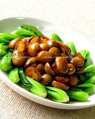 �ݹ����ĵ����� www.sk010.cn