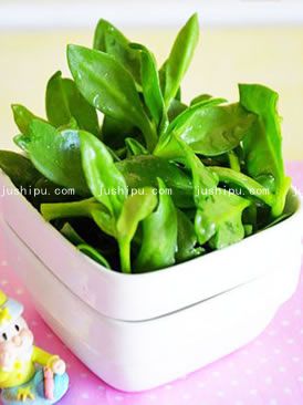 �Ǵ״���ɏ������