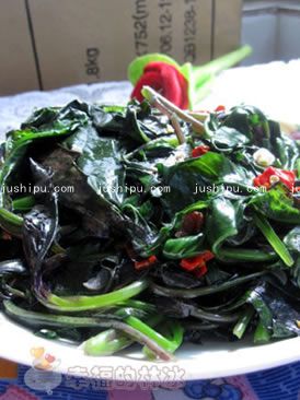 �س��ϱ����������