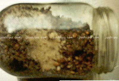 �����⻨������ www.sk010.cn