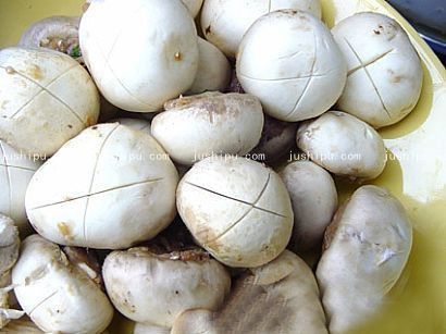 Ģ��С���ӵ����� www.sk010.cn