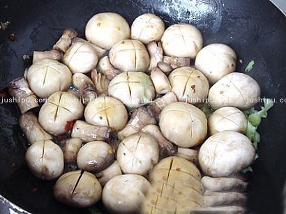 Ģ��С���ӵ����� www.sk010.cn